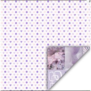 Danmore Scrapbooking Ark