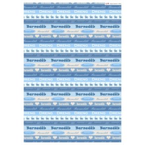 HM baggrundspapir - 010600