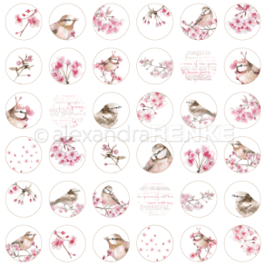 Alexandra-Renke Scrapbooking Ark - 100877x