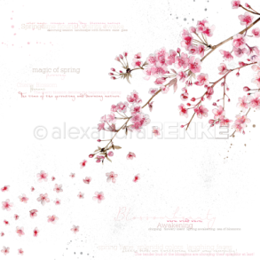 Alexandra-Renke Scrapbooking Ark - 100880x