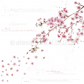 Alexandra-Renke Scrapbooking Ark - 100880