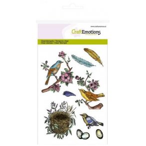 Clearstamps A6 - 1239 - Birds, Feathers, Eggs