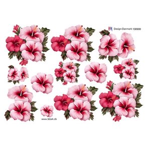 HM-Design130900