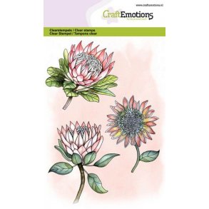 Clearstamps A6 - 1324 - Protea 3 Flowers