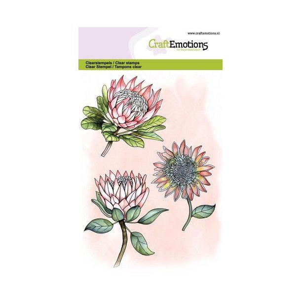 Clearstamps A6 - 1324 - Protea 3 Flowers