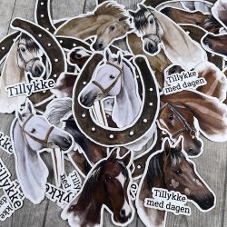 Dan Cuts Heste - 1969