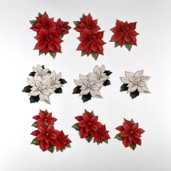 Dan Cuts Poinsetta - 1975