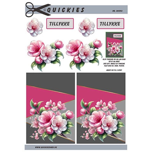 Quickies 201593