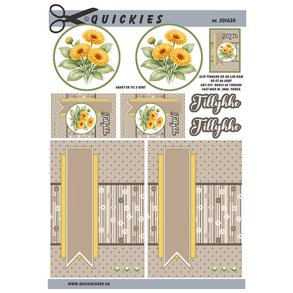 Quickies 201630