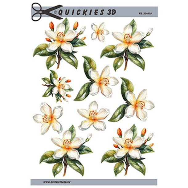 Quickies 204570