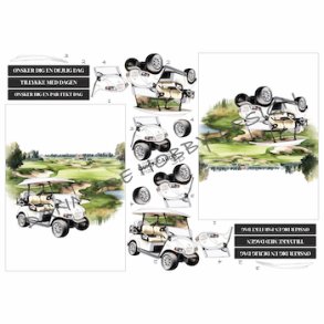 Quick Cards Golfvogn 27120