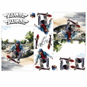 Quick Cards Skater 27135