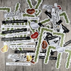 Dan Cuts Tillykke med bryllupsdagen - 2869