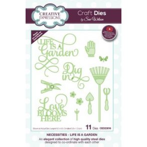 Creative Expressions - CED23016