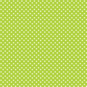 Prikkort 14x28 cm 20 Hvid p limegrn