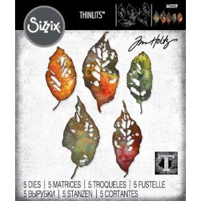 Sizzix/Tim Holtz Thinlits Die 