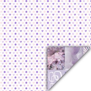 Danmore Scrapbooking Ark - 69682