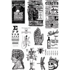 Creative Expressions / Andy Skinner Mixed Media Transfer - Alchemy Plus - CEAST001