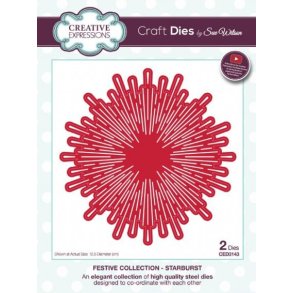 Creative Expressions - CED3143