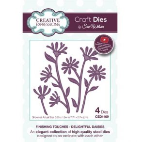 Creative Expressions - CED1469