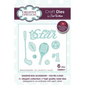 Creative Expressions - CED9311