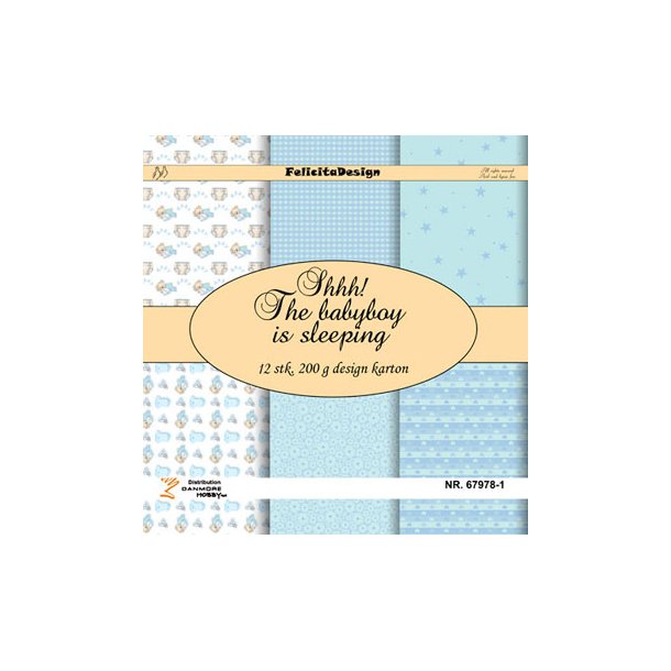 FelicitaDesign  - Shhh! The babyboy is sleeping - 67978-1  