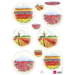 Marianne Design IT581