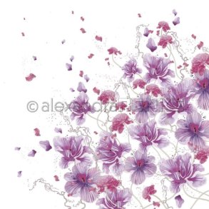 Alexandra-Renke Scrapbooking Ark - 102634