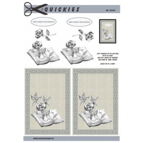 Quickies 201339