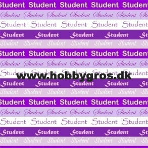 Student 14x28 cm Lilla