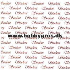 Student 14x28 cm Mrk rd