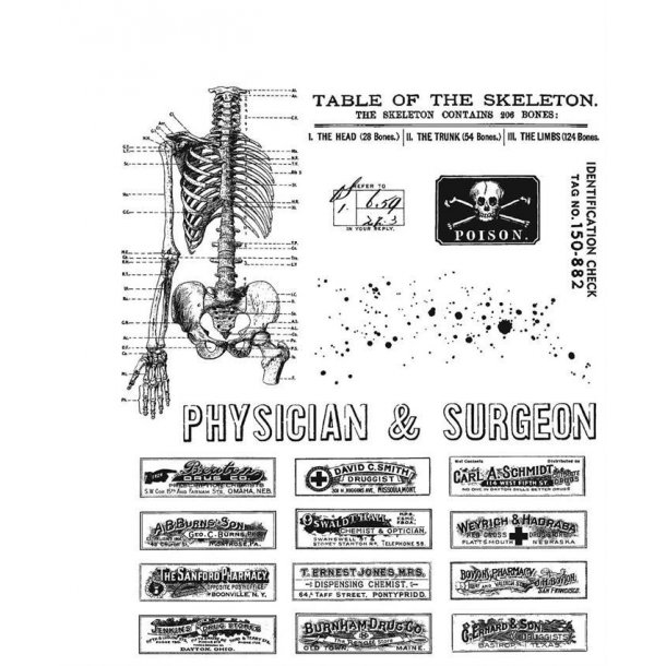 SA / Tim Holtz Cling Stamp - CMS412 - Examination