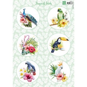 Marianne Design VK9561