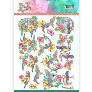 Yvonne 3D Ark CD11333