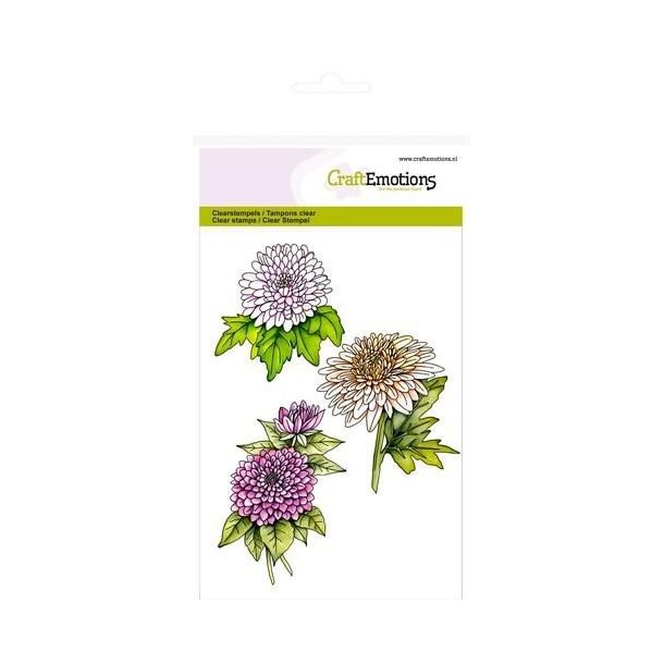 Clearstamps A6 - 1071 -  Chrysanthemums branch Botanical Summer