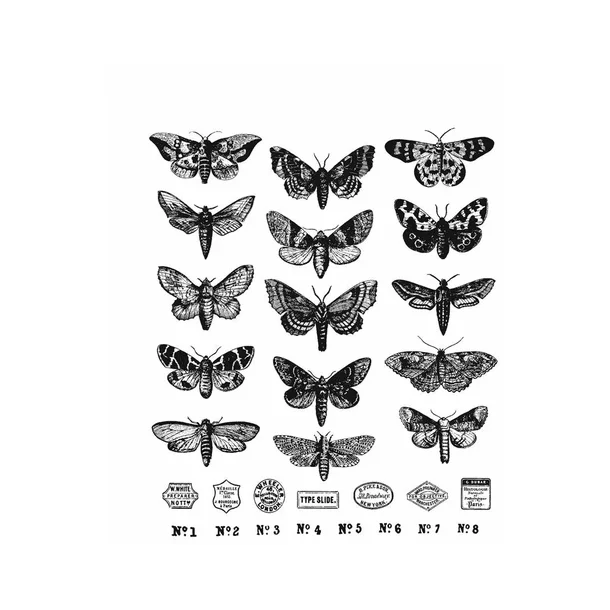 SA / Tim Holtz Cling Stamp - CMS436 - Moth Study