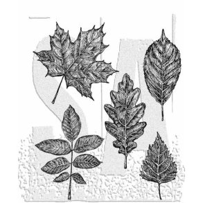 SA / Tim Holtz Cling Stamp Sketchy Leaves