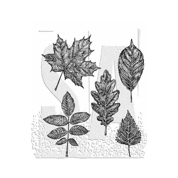 SA / Tim Holtz Cling Stamp Sketchy Leaves" TH-CMS467