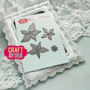 Craft & You Dies - CW211