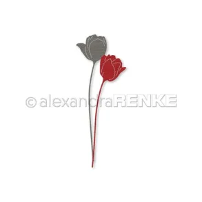Alexandra-Renke Dies D-AR-FL0225