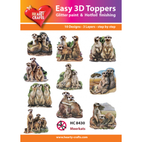 Easy 3D Toppers HC8430