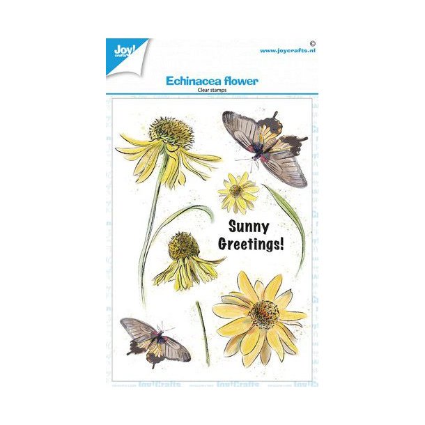 Joy Stempel - Coneflower - Echinacea A6