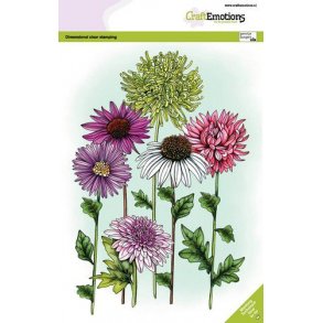 Clearstamps A5 - 3008 - Mix summer flowers 2