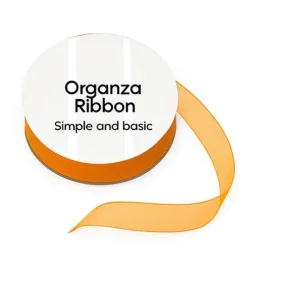 Simple and basic Organza Ribbon 