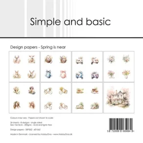 Simple and Basic Design Papers 15x15 cm - SBP562