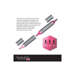 Spectrum Noir TriBlend Brush Marker "Extended Collection 24pcs" SN-TBBR-EXTD24